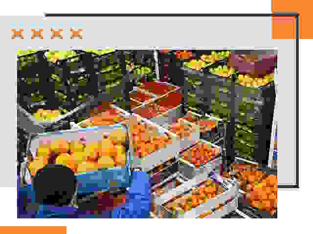 Перевозка скоропортящихся продуктов в Смоленске